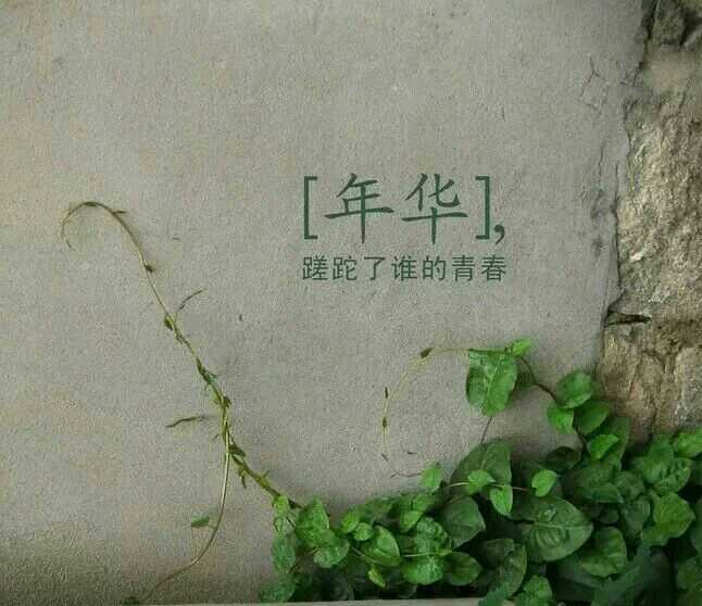 ·�ϱ���������