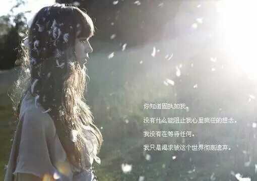 �ɲ�����