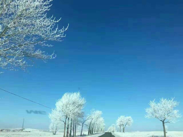 ���Ʋ��������