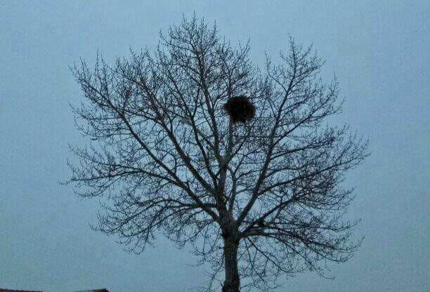 ��Ӣ�ۡ�����ô��ȥ�ˣ�