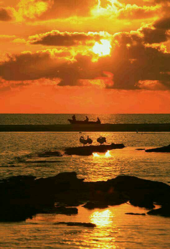 ������˼