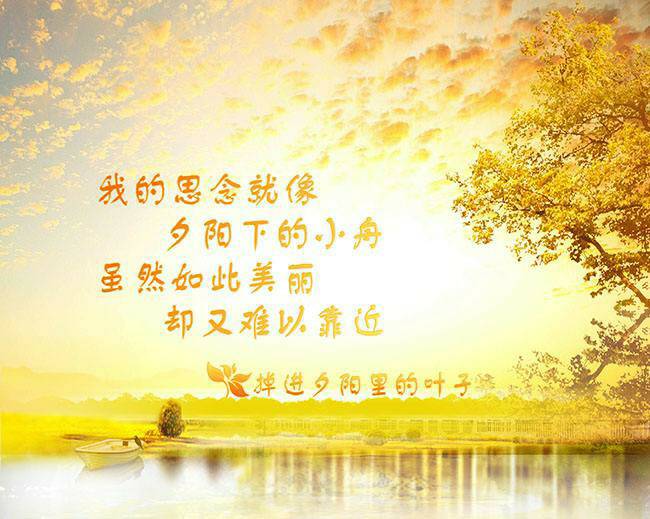 ˼�����ң����