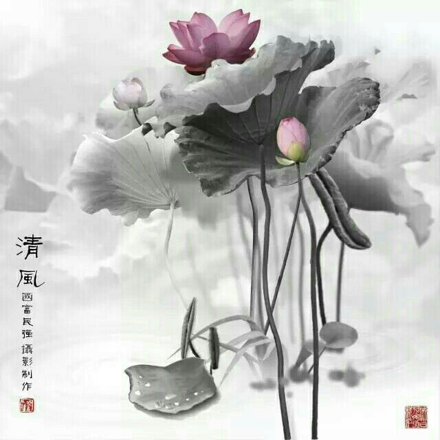 ���յ�����