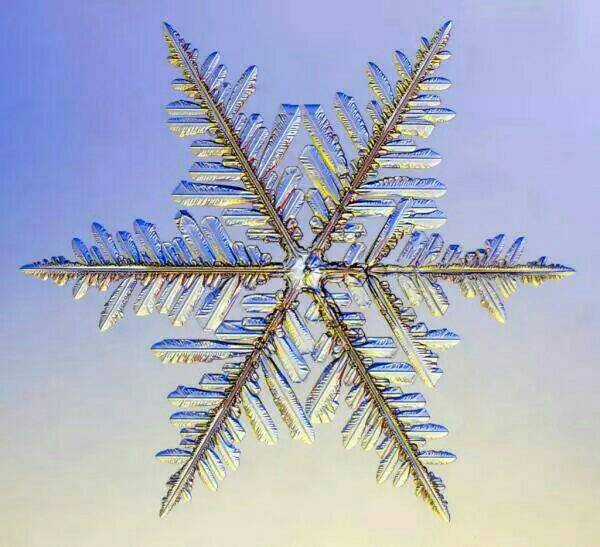 ���ǵ�ѩ����