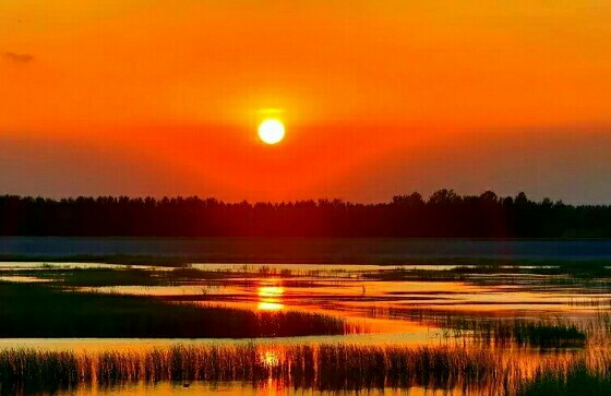 ���̻�������