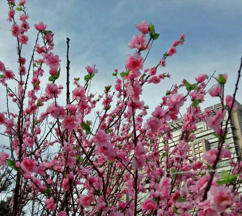 ������.ֱ���ƶ�