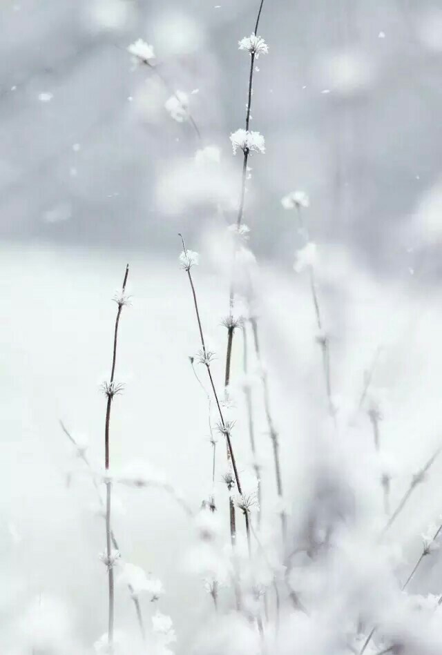 ��ɣ�ӡ�˭������