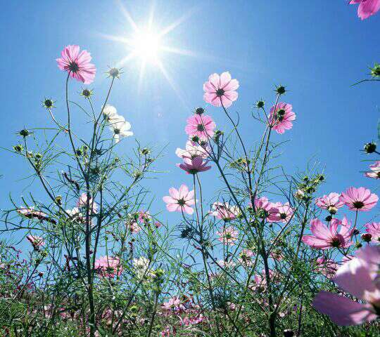 ��˼���ڲ�