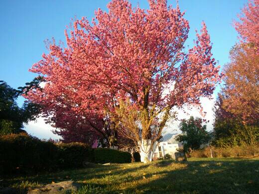 ���������������ⴺ����