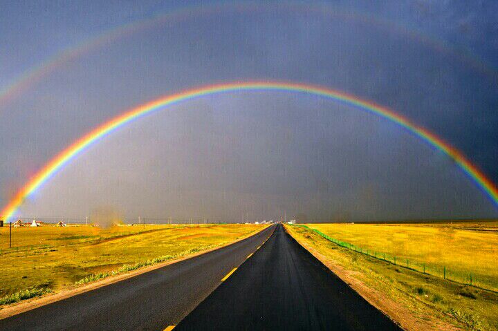 ������Ҷ����˵����