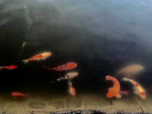 ������������