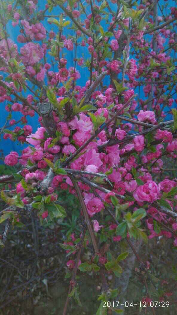 ��������������