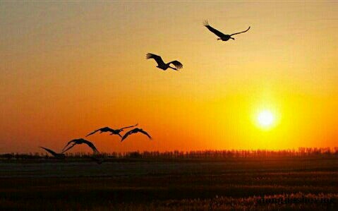 �·����һ��