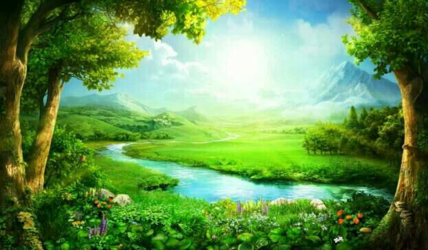 �����ľ�