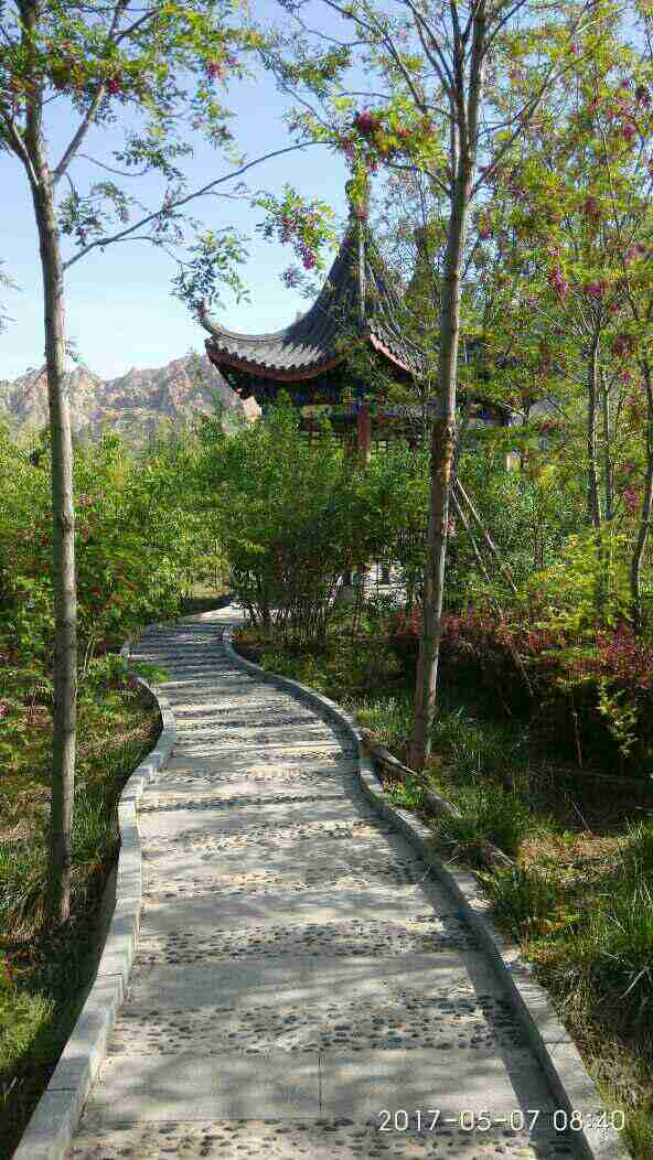 ���ĵ���ζ