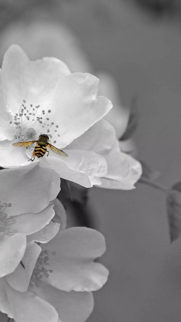 ���µĵ���