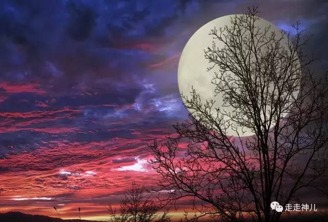 �����ӡ����