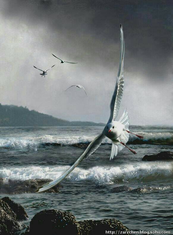 �ɰɣ�����