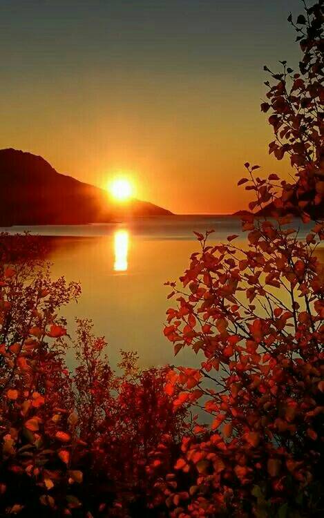 С�����������Ӱ����