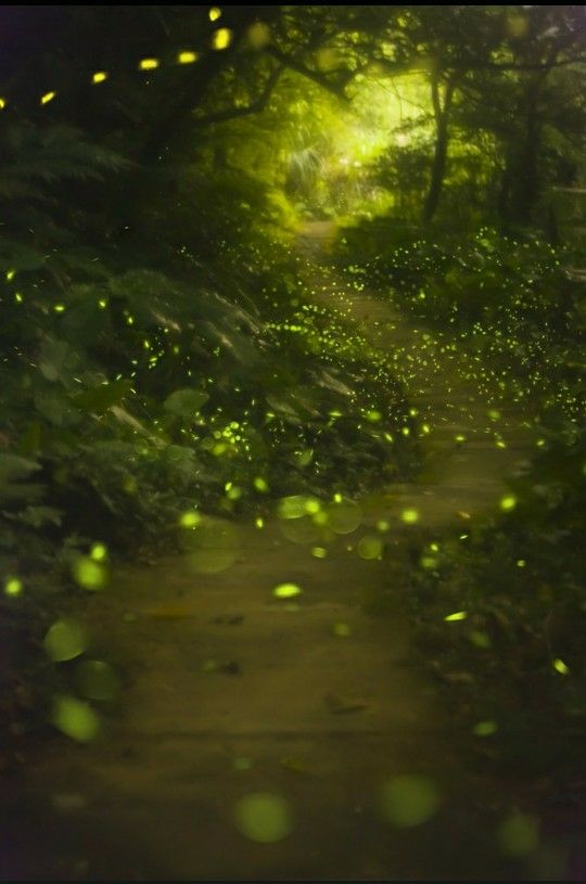 Ѱ������ҹ��