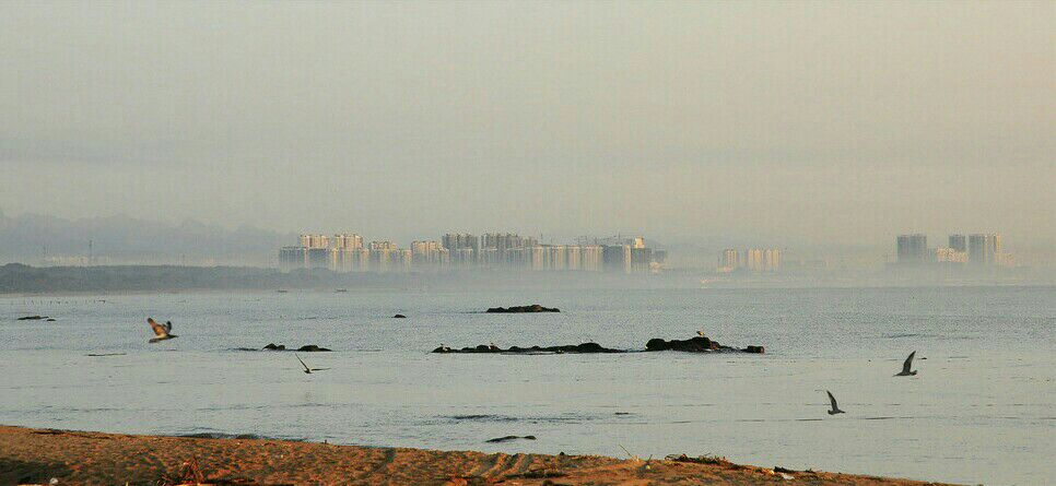 ������¥