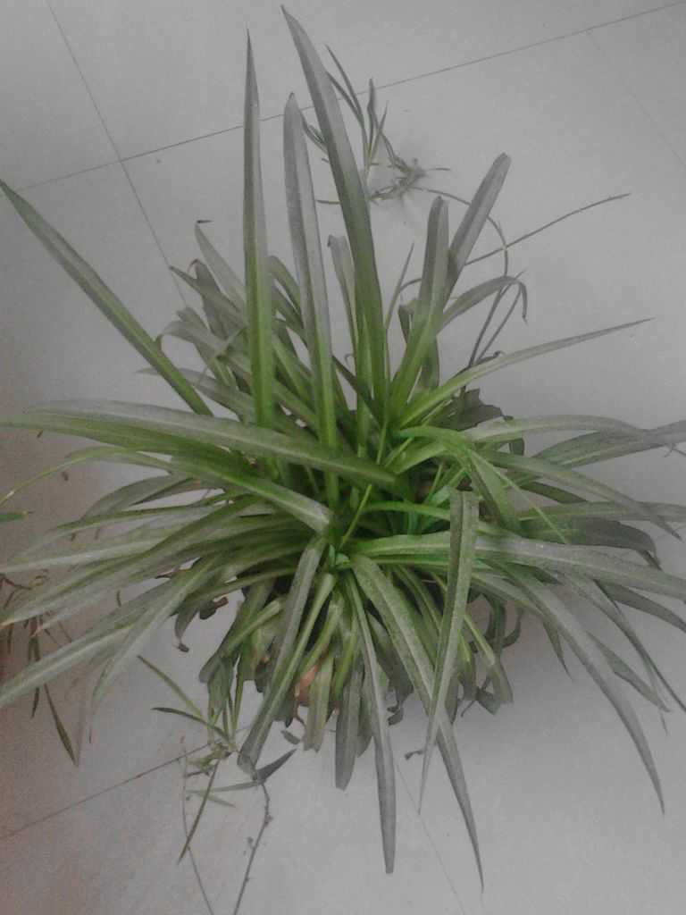 ѧ�����ͱ���