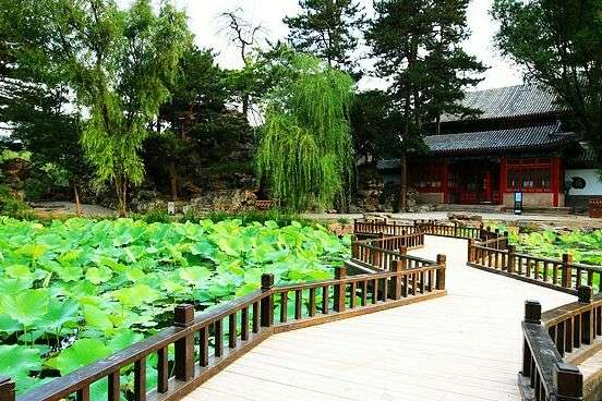 Ը��������ʢ��