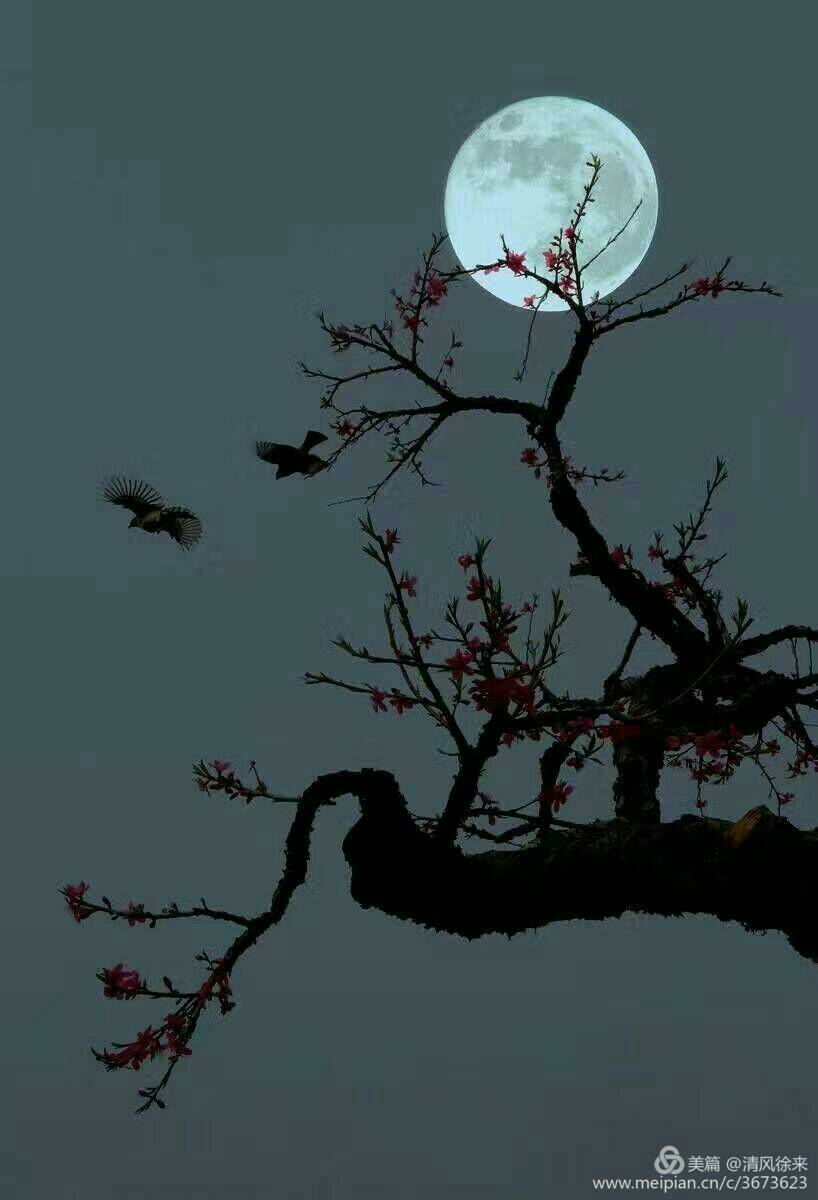 ���ҹ����9��