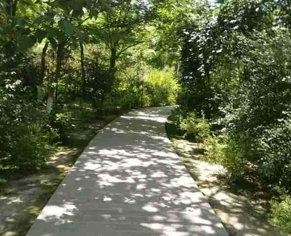 ����ʢ��