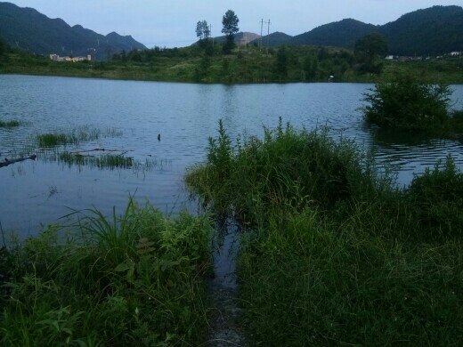 ĺ��������