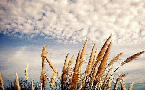 ���紵����