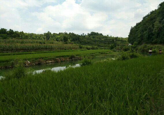 �������ͼ