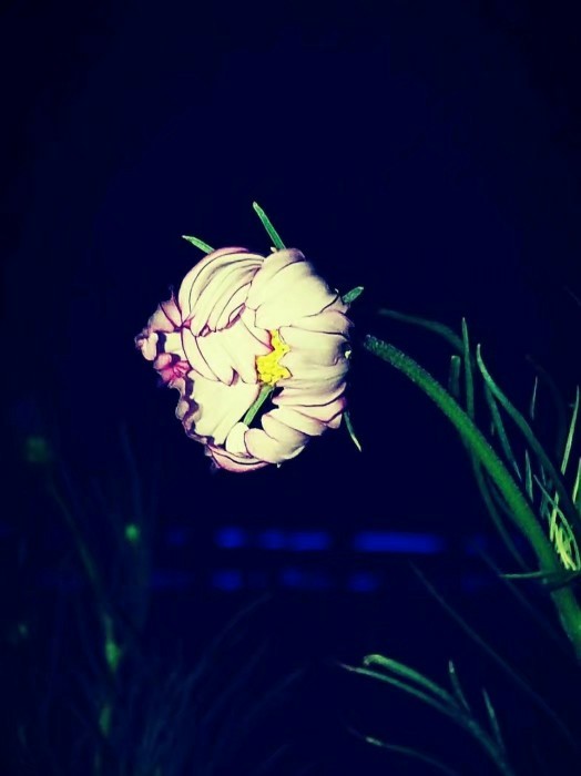 ����� ������ һ������