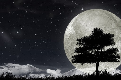 ��ɣ�ӡ������˼