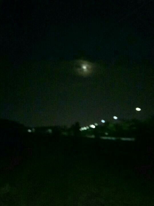 ����ڣ��Ұ���������