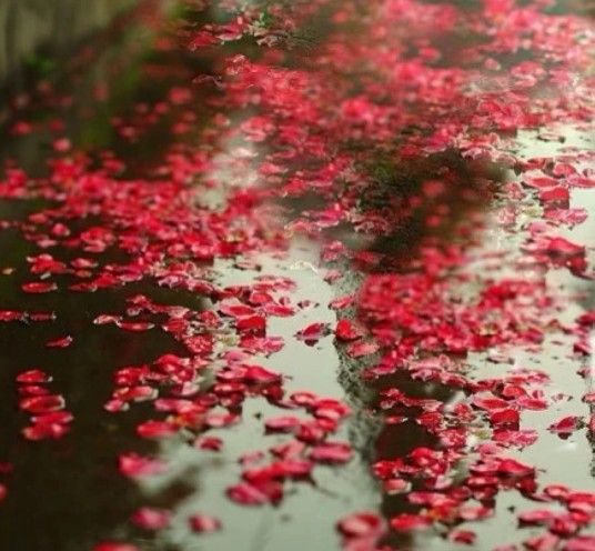 ��ɣ�ӡ����