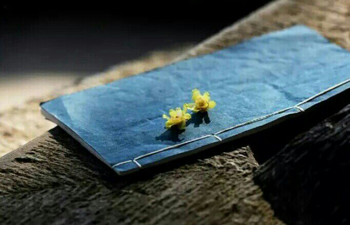 浪淘沙·入梦谁愁