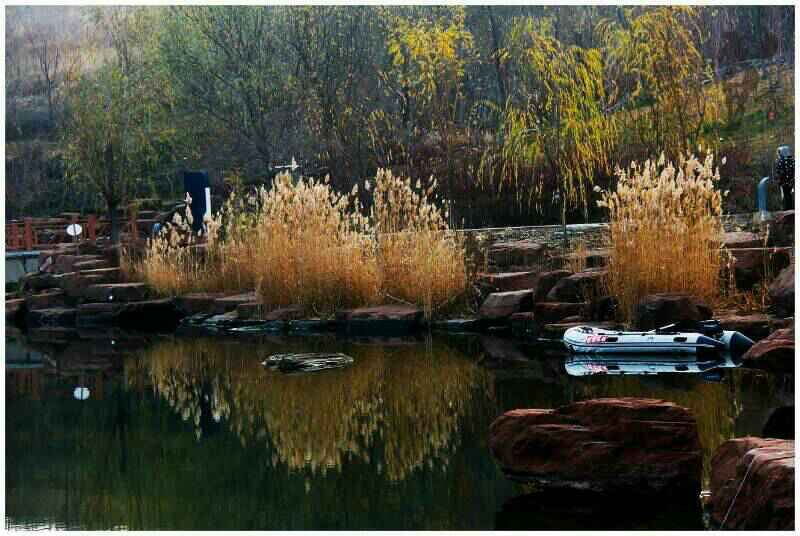 ���������ɫ