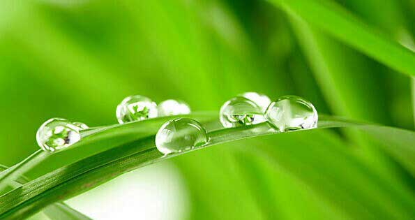 ¶��(ɢ��ʫ)