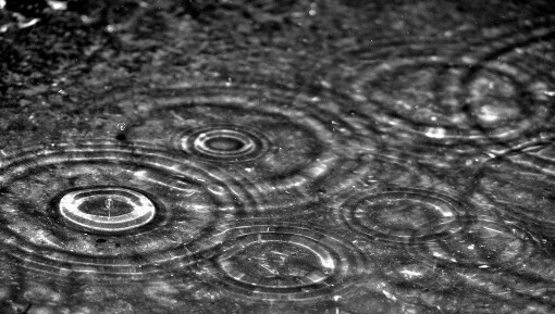 �������