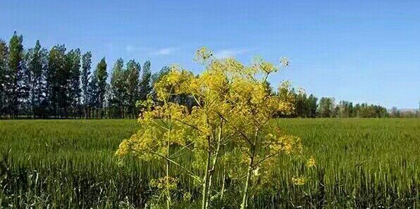 ŭ�ŵ�����