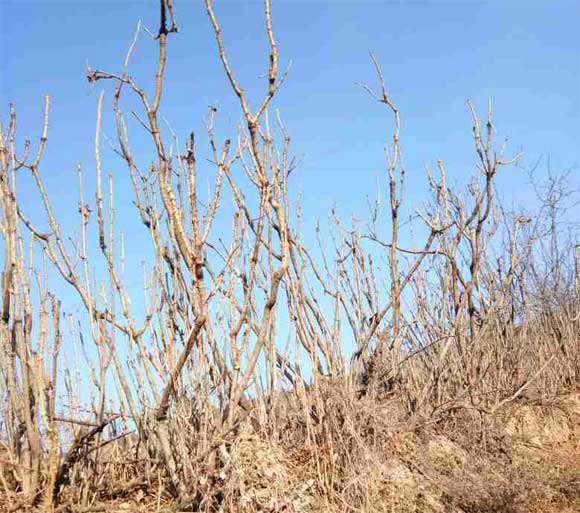 ʱ�䲻ͣ�ߣ����ұ���