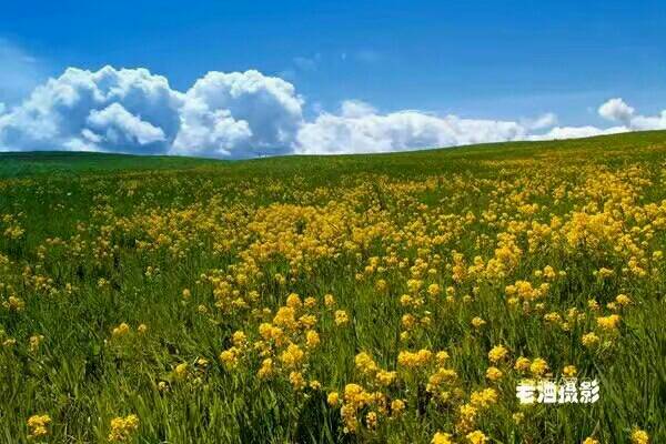 �����ǿ˲�ԭ