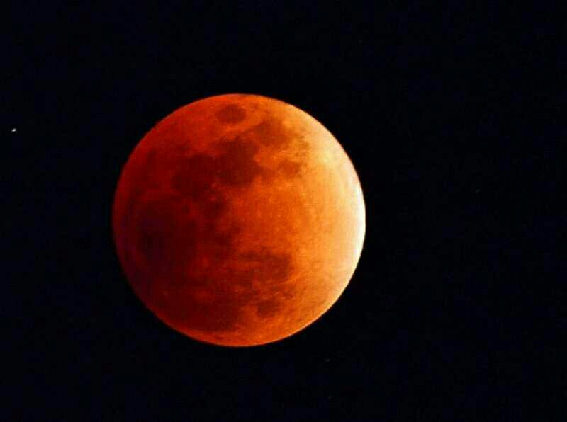 ������.����