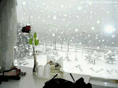 ����ʮ�ģ�ѩ���׷ɵ����˹�