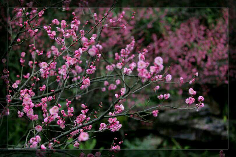 Ѱ��2018������ʱ��