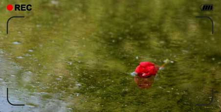 �� . ����