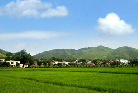 �߾�������ż��