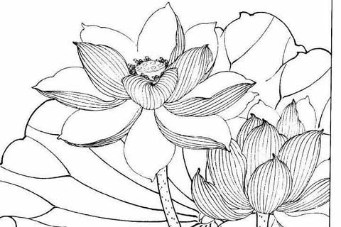 ���ܰ�����