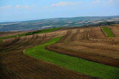 ϣ������Ұ